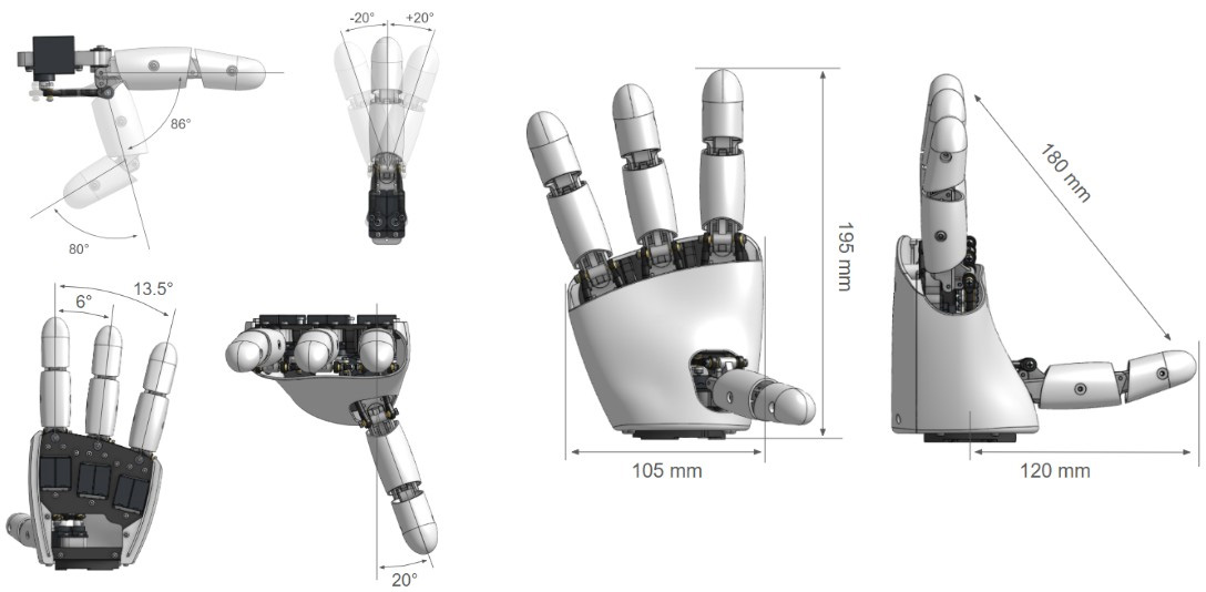 Amazing Hand Dimensions Amazing Hand Dimensions