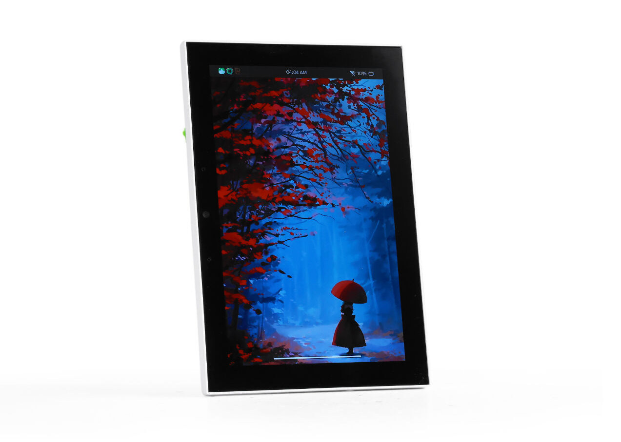 reTerminal D1001 reTerminal D1001