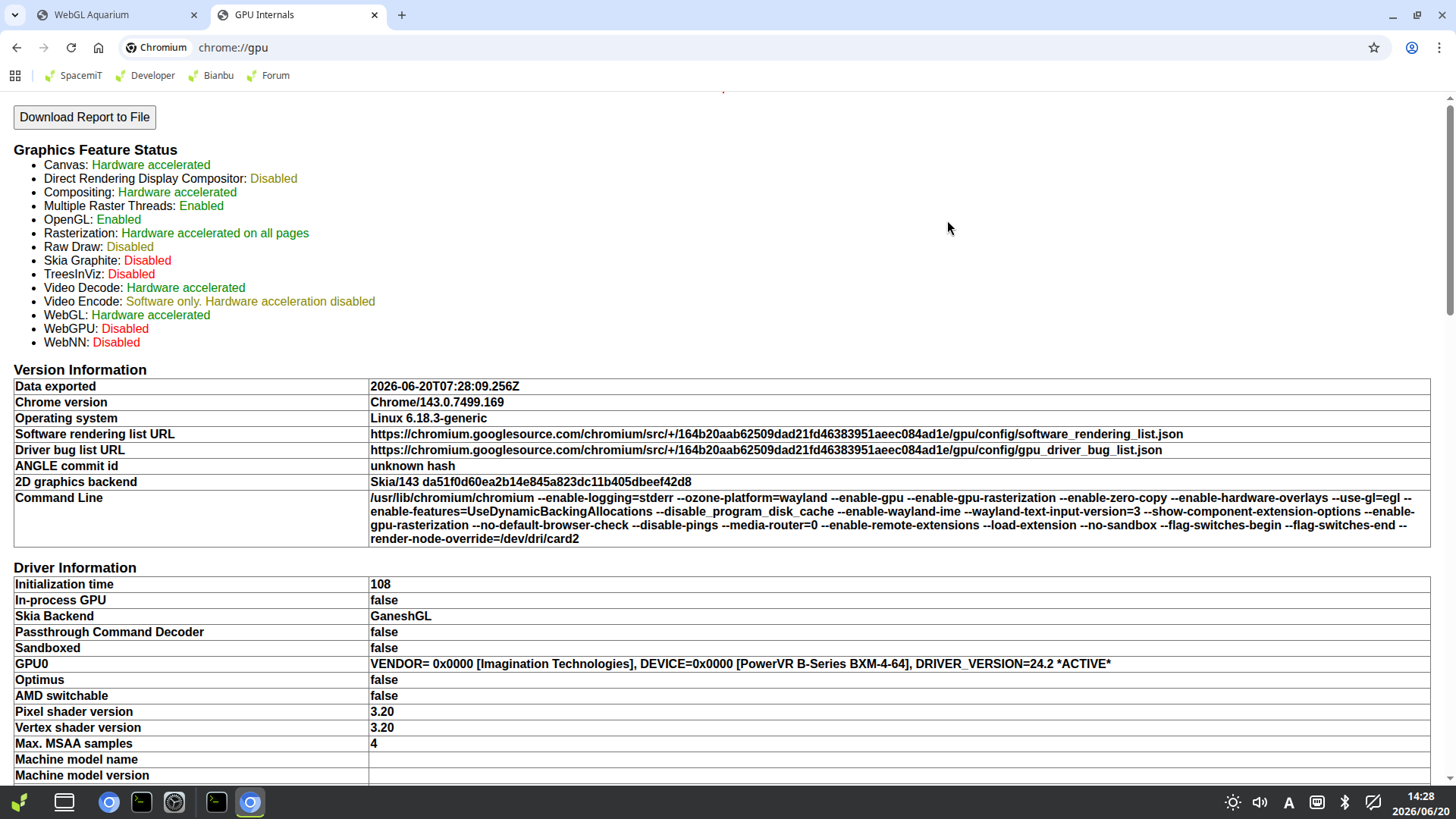 Chromium RISC-V GPU WebGL Video Decode Chromium RISC-V GPU WebGL Video Decode