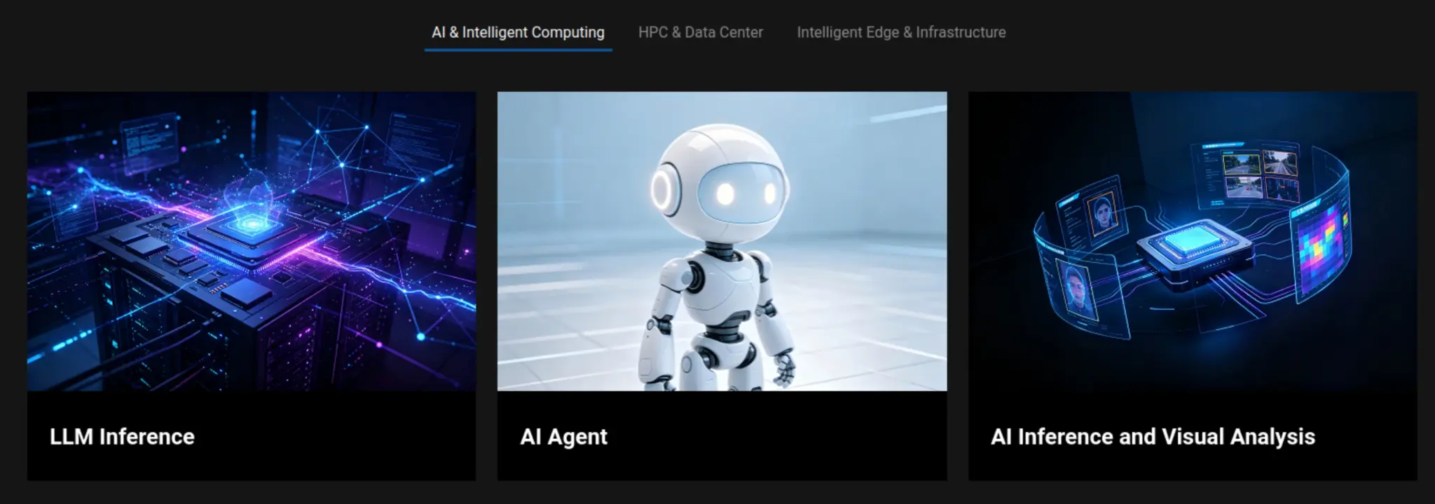 Dubhe-100 AI applications Dubhe-100 AI applications