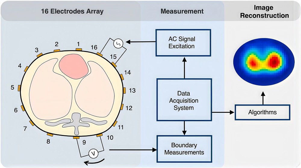 EIT system showing the electrode array, AC signal excitation, data acquisition, boundary measurements, and image reconstruction process EIT system showing the electrode array, AC signal excitation, data acquisition, boundary measurements, and image reconstruction process
