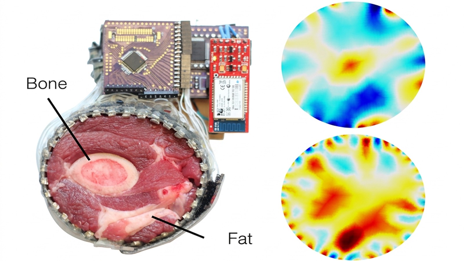 EIT wrist sensing setup showing the electrode array, bone and fat layers, and EIT maps. EIT wrist sensing setup showing the electrode array, bone and fat layers, and EIT maps.