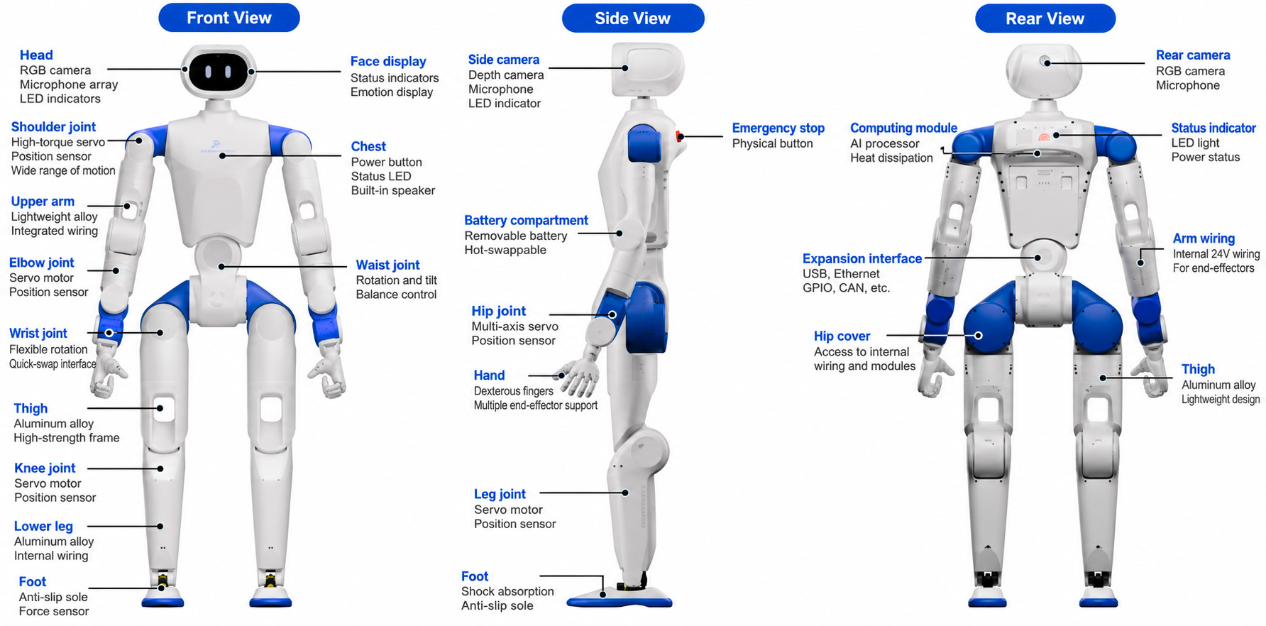 Technical diagram of the RoboParty RP1 humanoid robot Technical diagram of the RoboParty RP1 humanoid robot